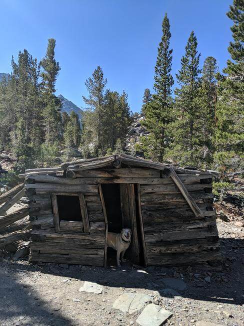 old cabin in Virginia Lakes Trail