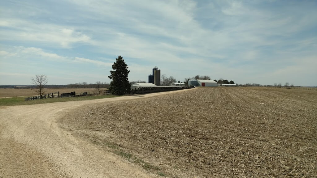 Dairy farm in Wisconsin