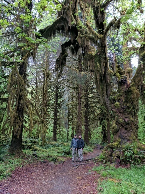 Hikers at hoh rain forest