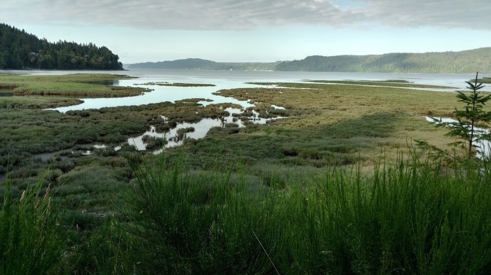 Hood Canal in Washington