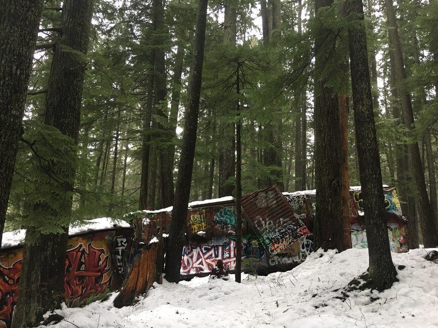 Picture of abandoned train cars