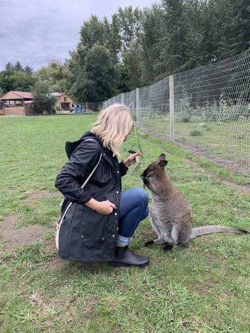 Woman petting a wallaby at a Kangaroo farm in Okanagan Valley