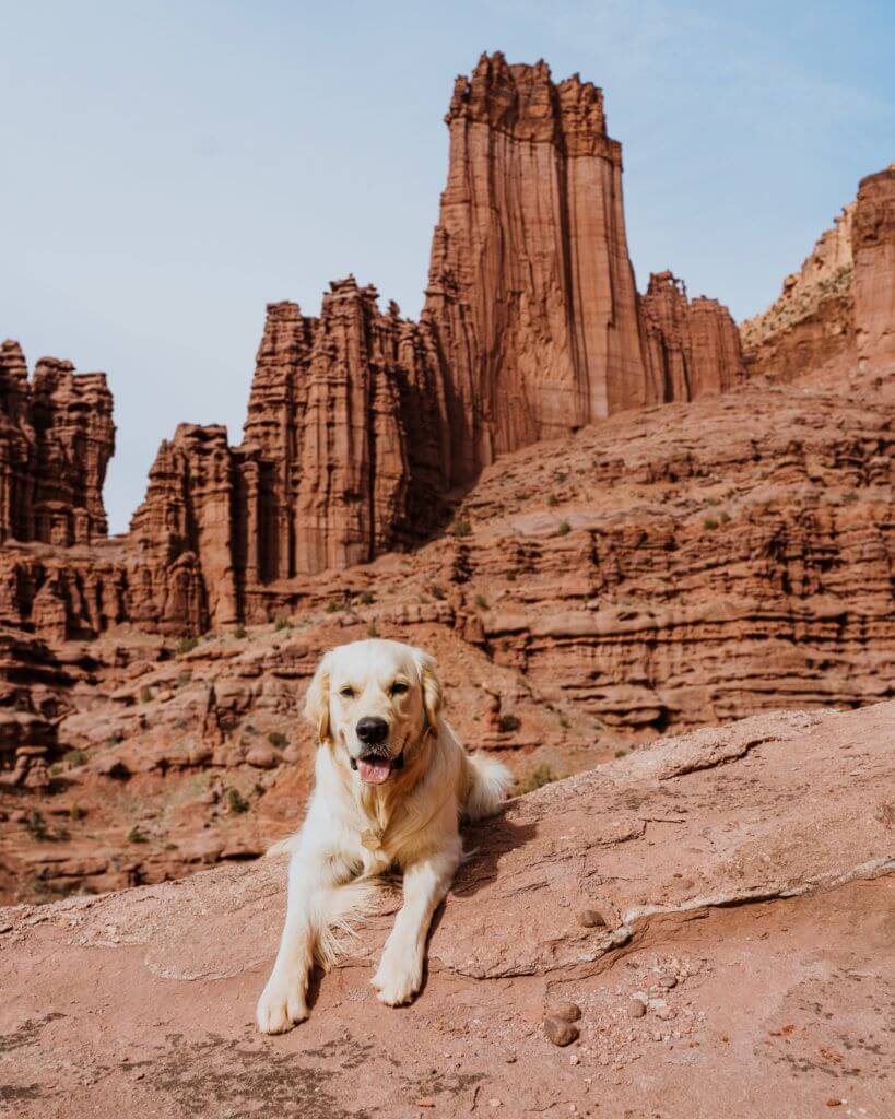 Fisher Towers dog-friendly hikes