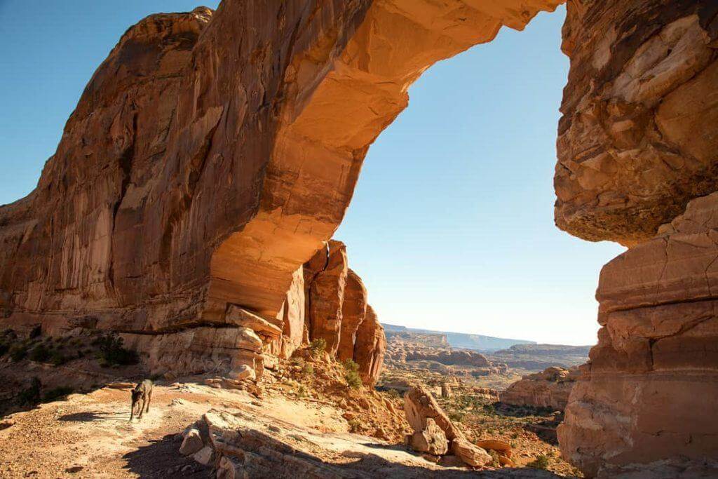 Jeep Arch dog-friendly hikes