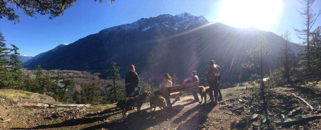 A group of hikers and dogs overlook Mt Currie.