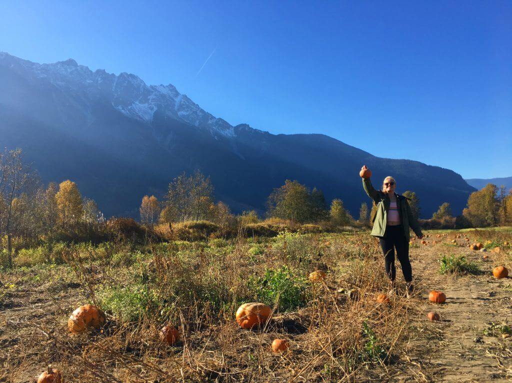 A pumpkin patch in Pemberton, British Columbia.