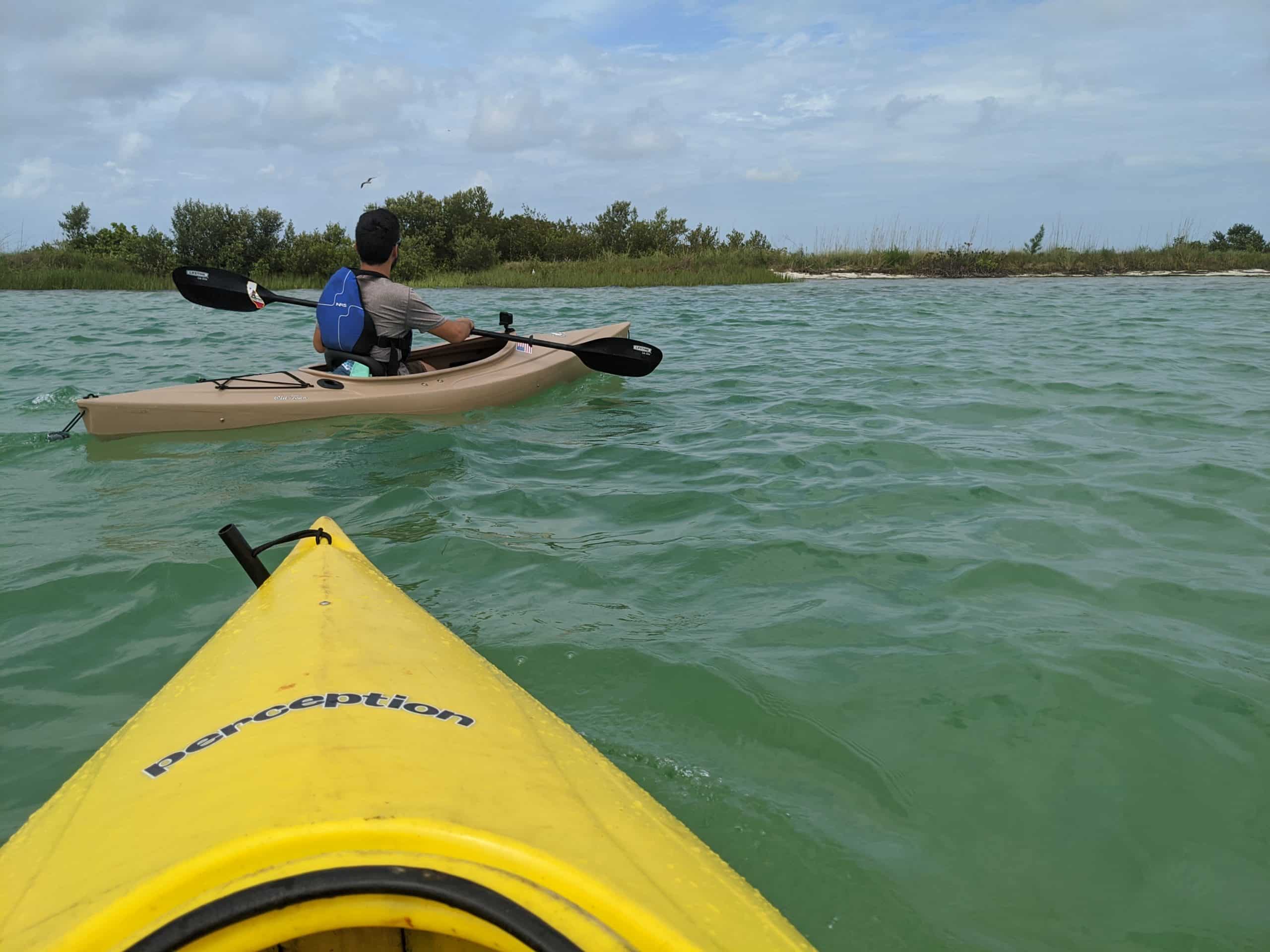 Paddling in Tampa at Hillsborough River