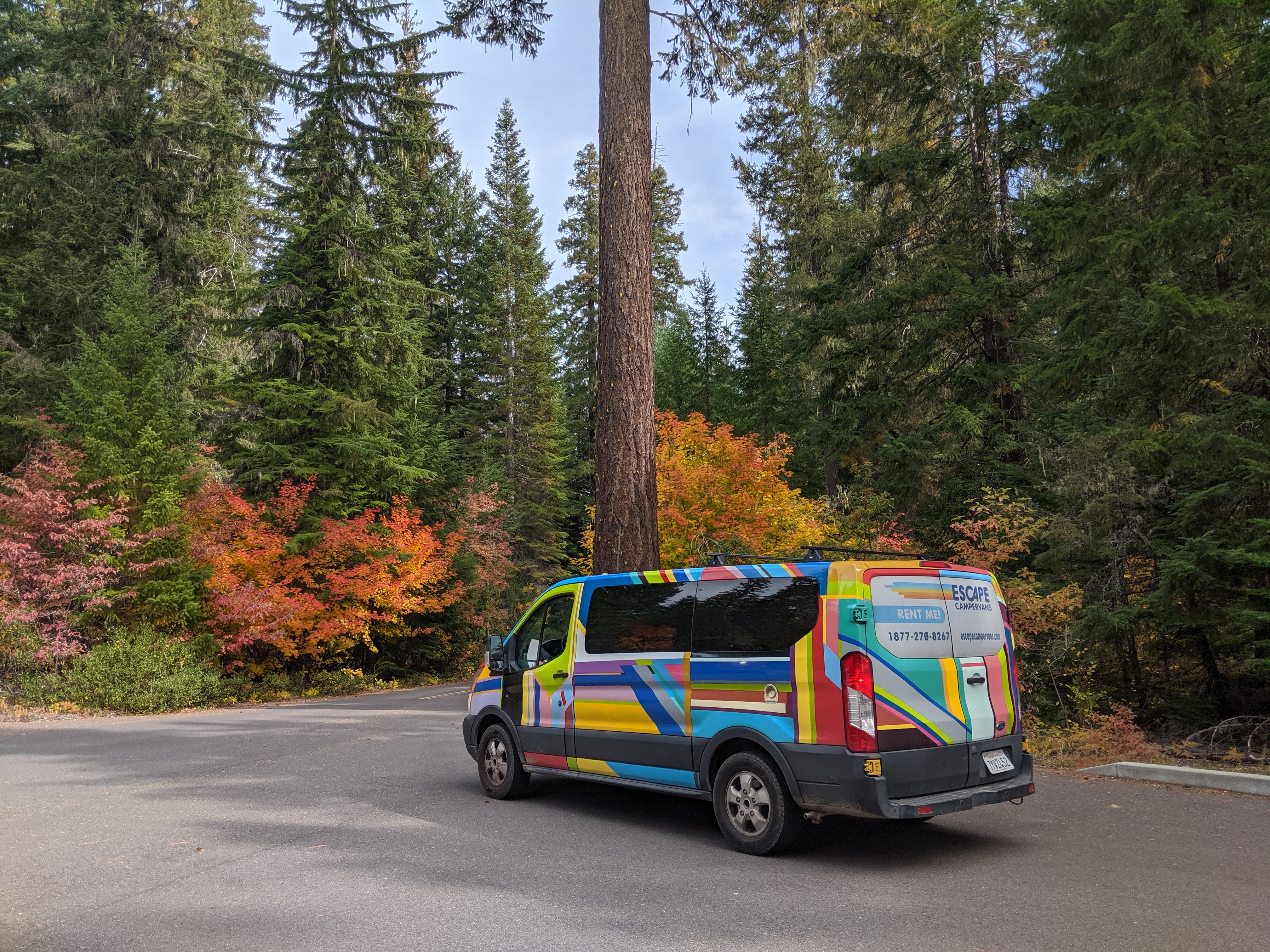 fall road trip in a campervan