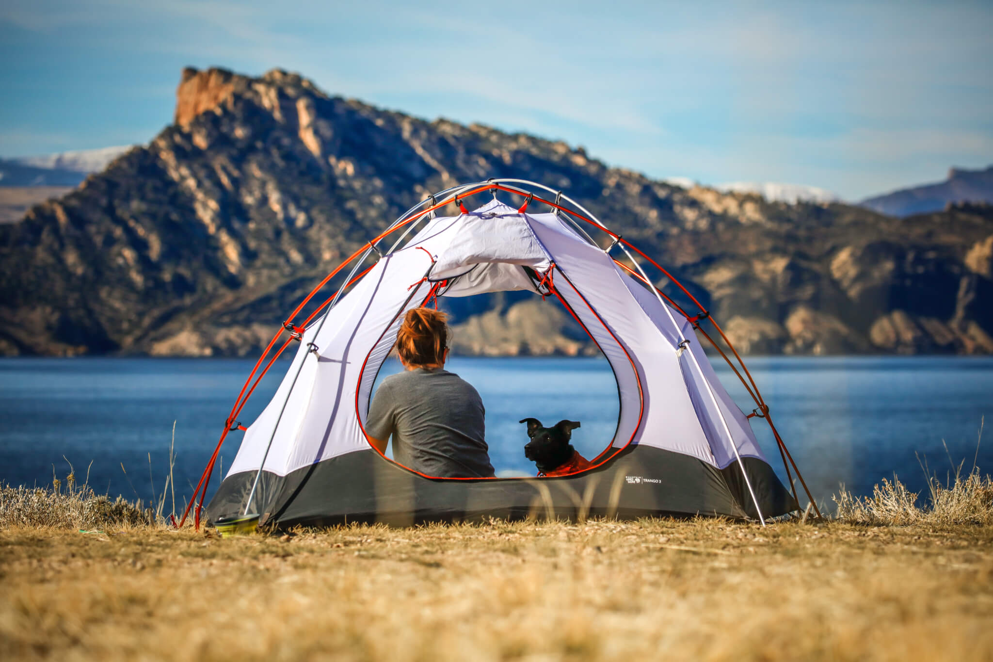 Girl and her dog camping.