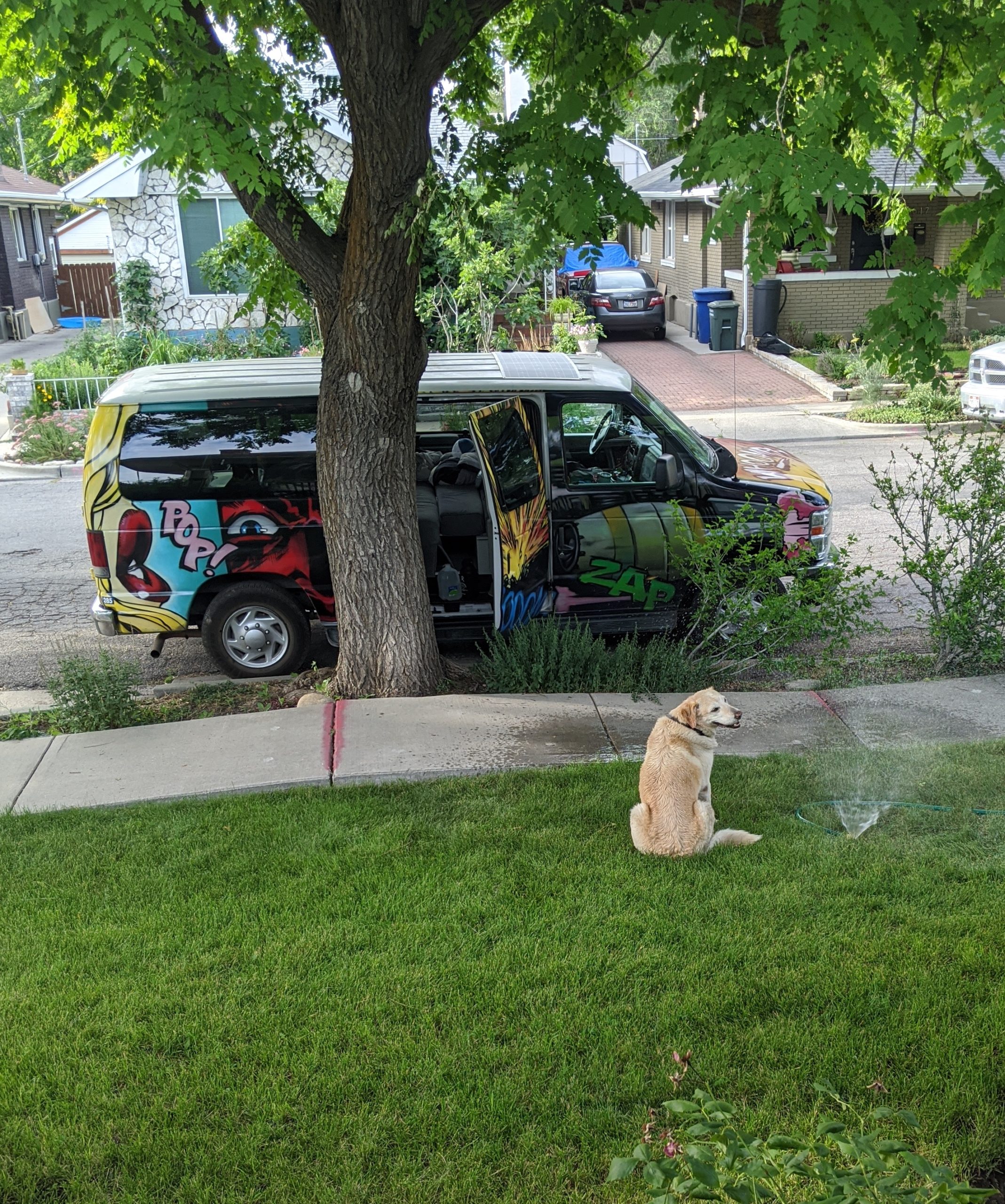 Dog in front of a campervan.