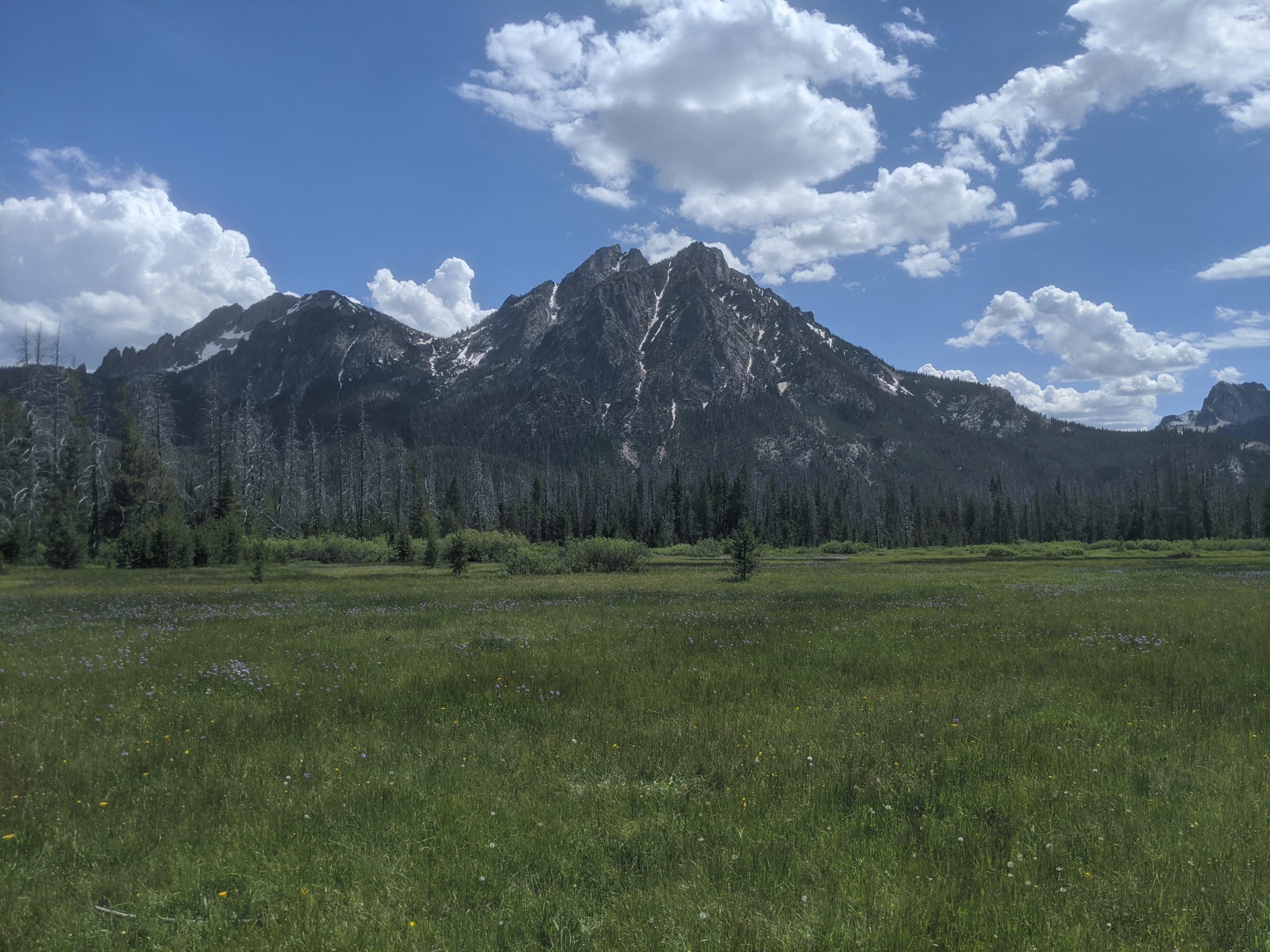 View of Elk Mountain