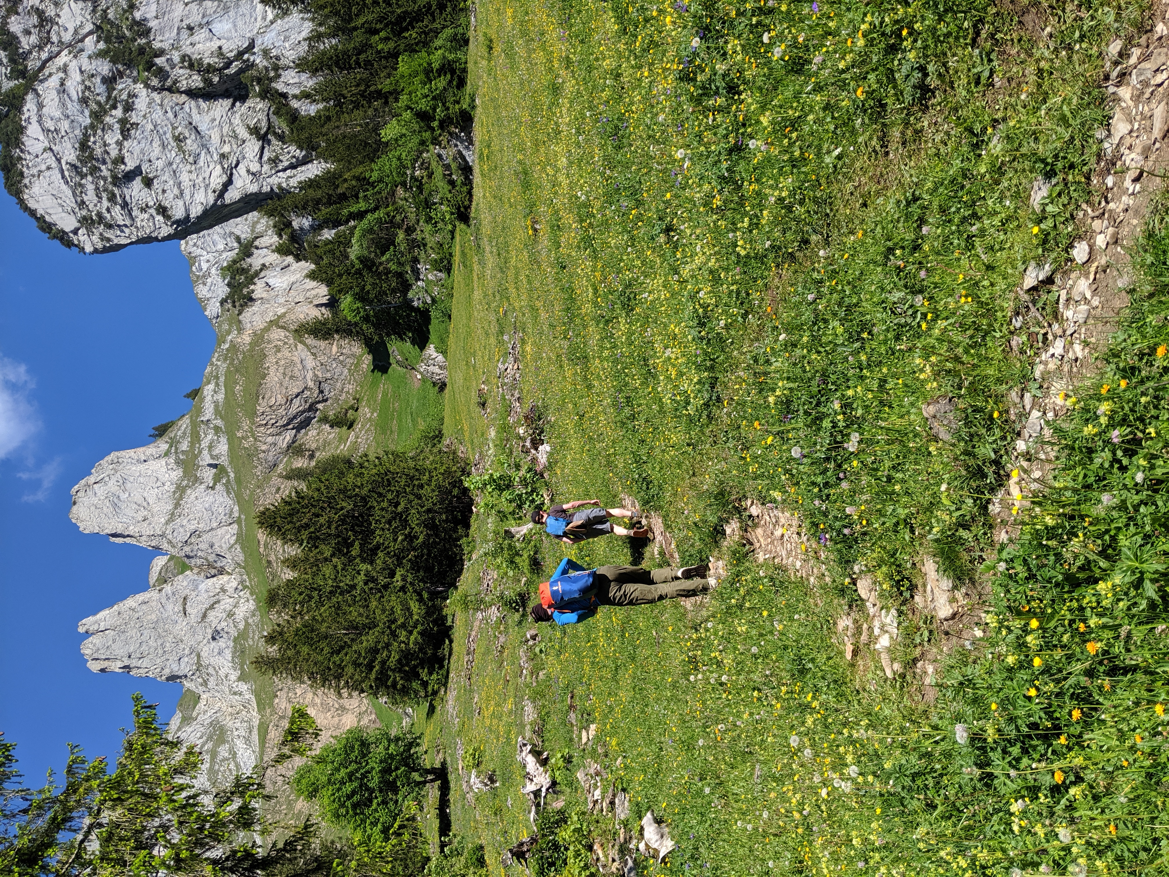 Campers hiking on a trail