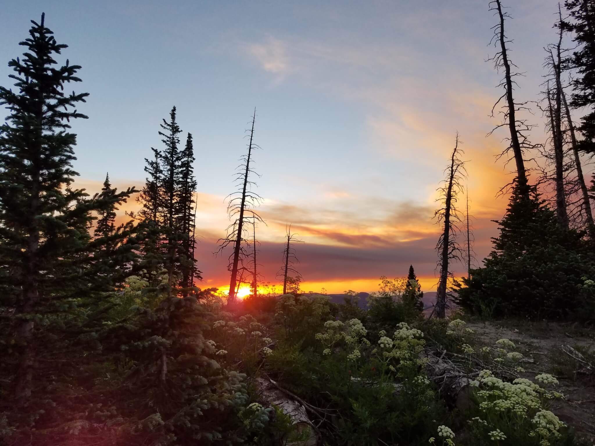 Cedar Breaks National Monument