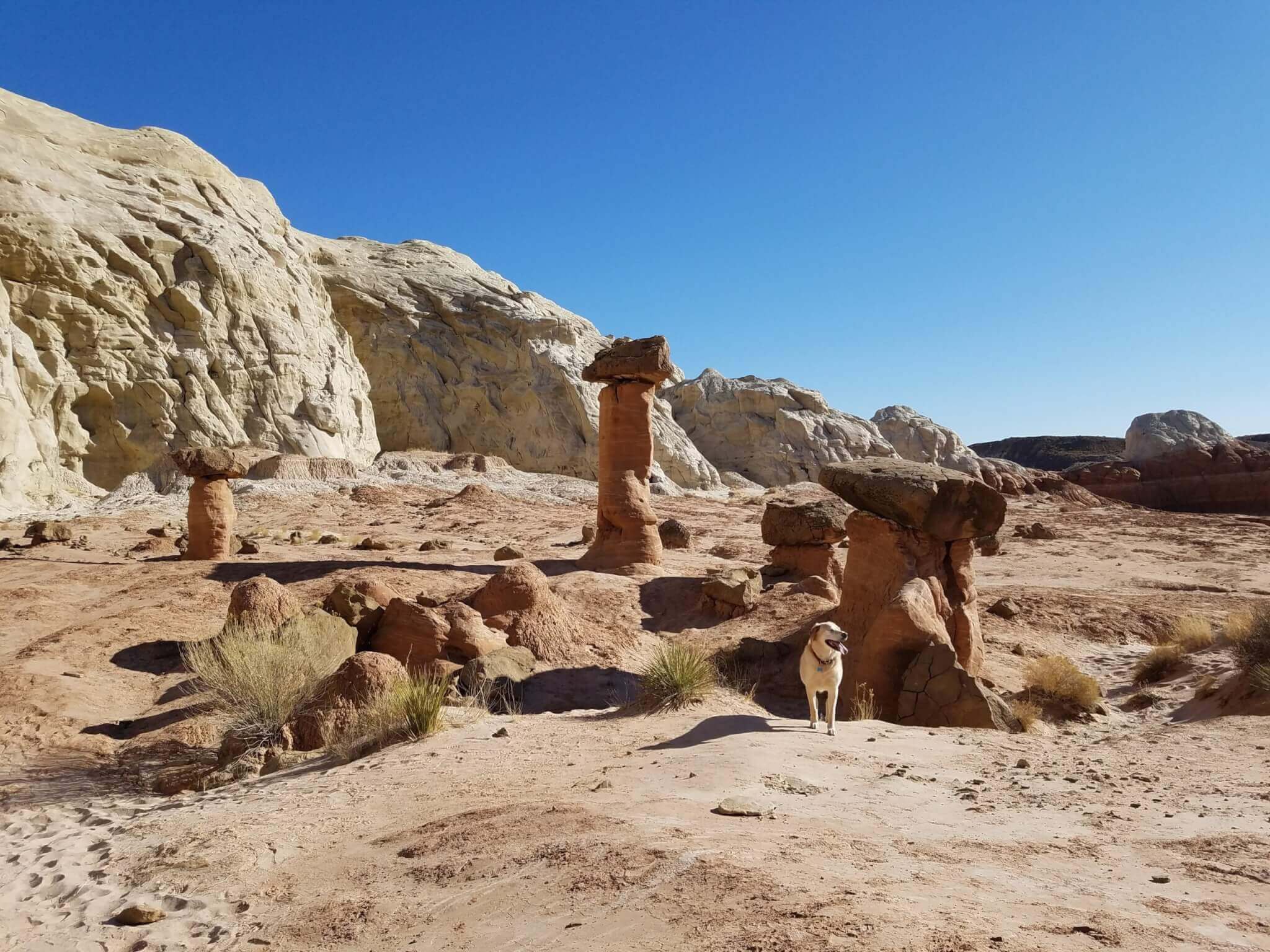 Grand Staircase Escalante Toadstools