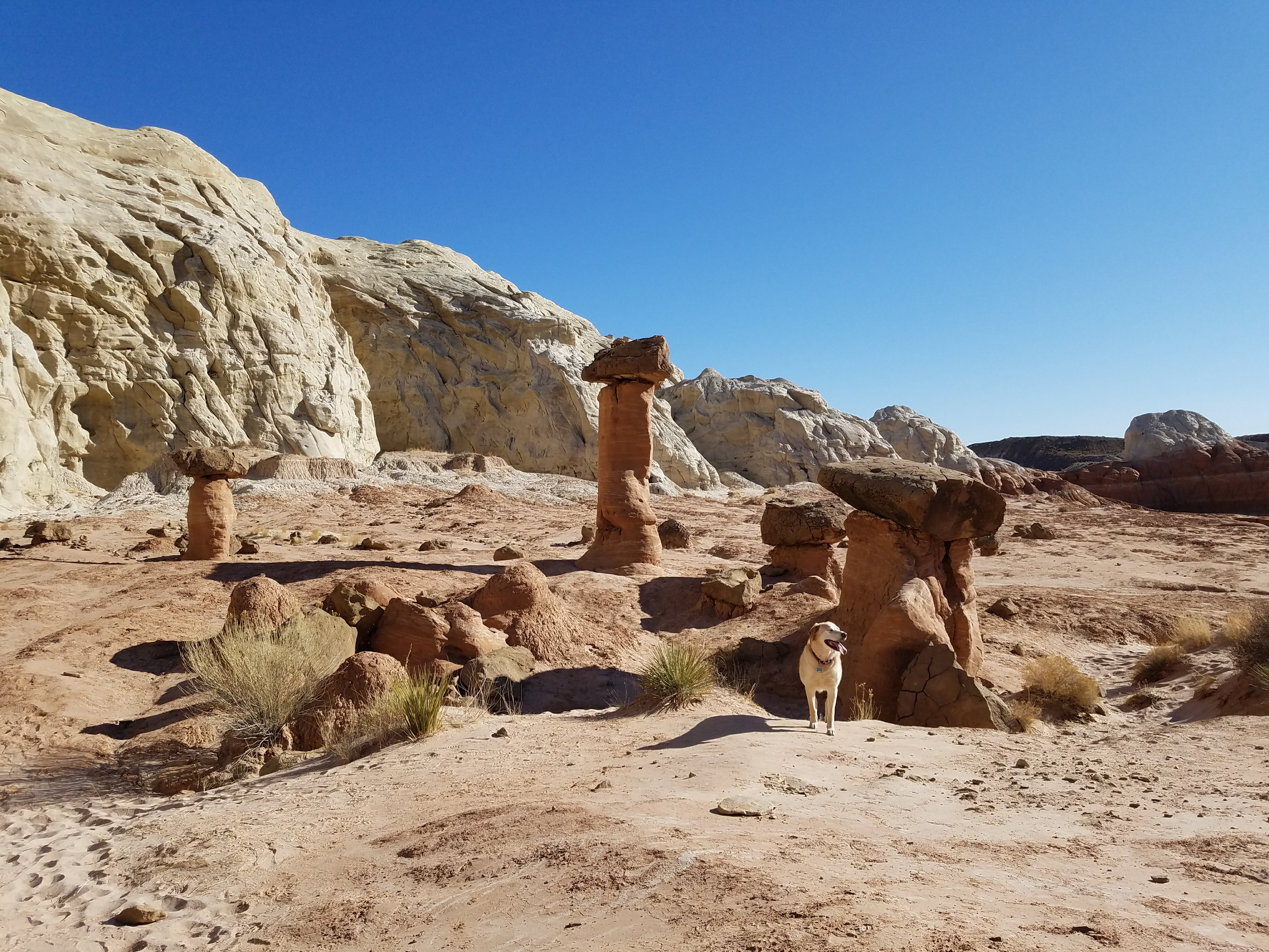 Grand Staircase Escalante Toadstools