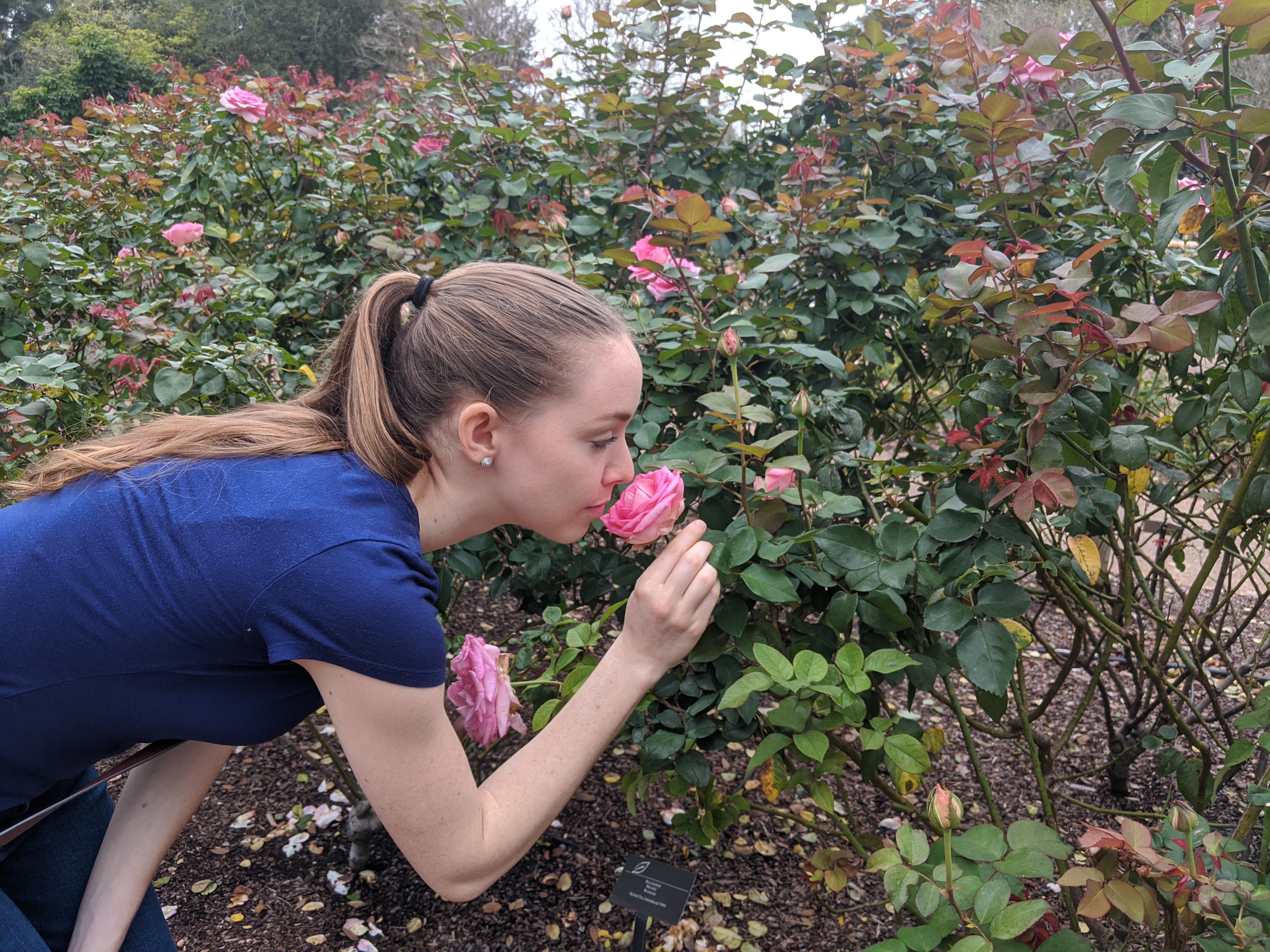 Woman smelling flowers in Leu Gardens