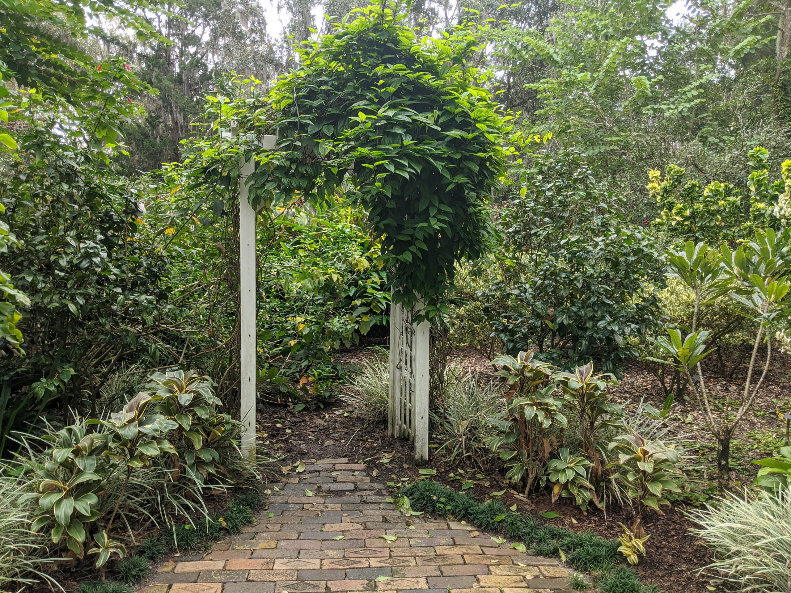 Leu Gardens Trellis