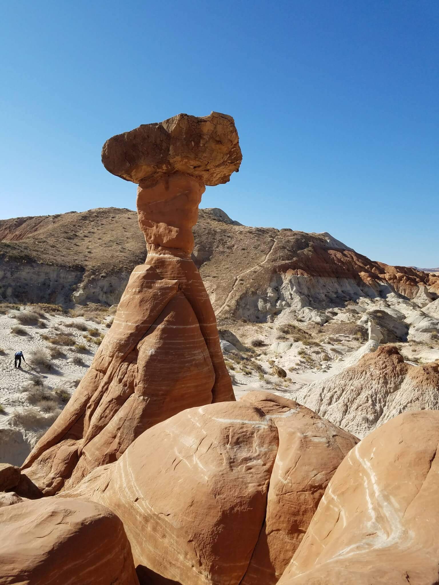 Toadstool Grand Staircase