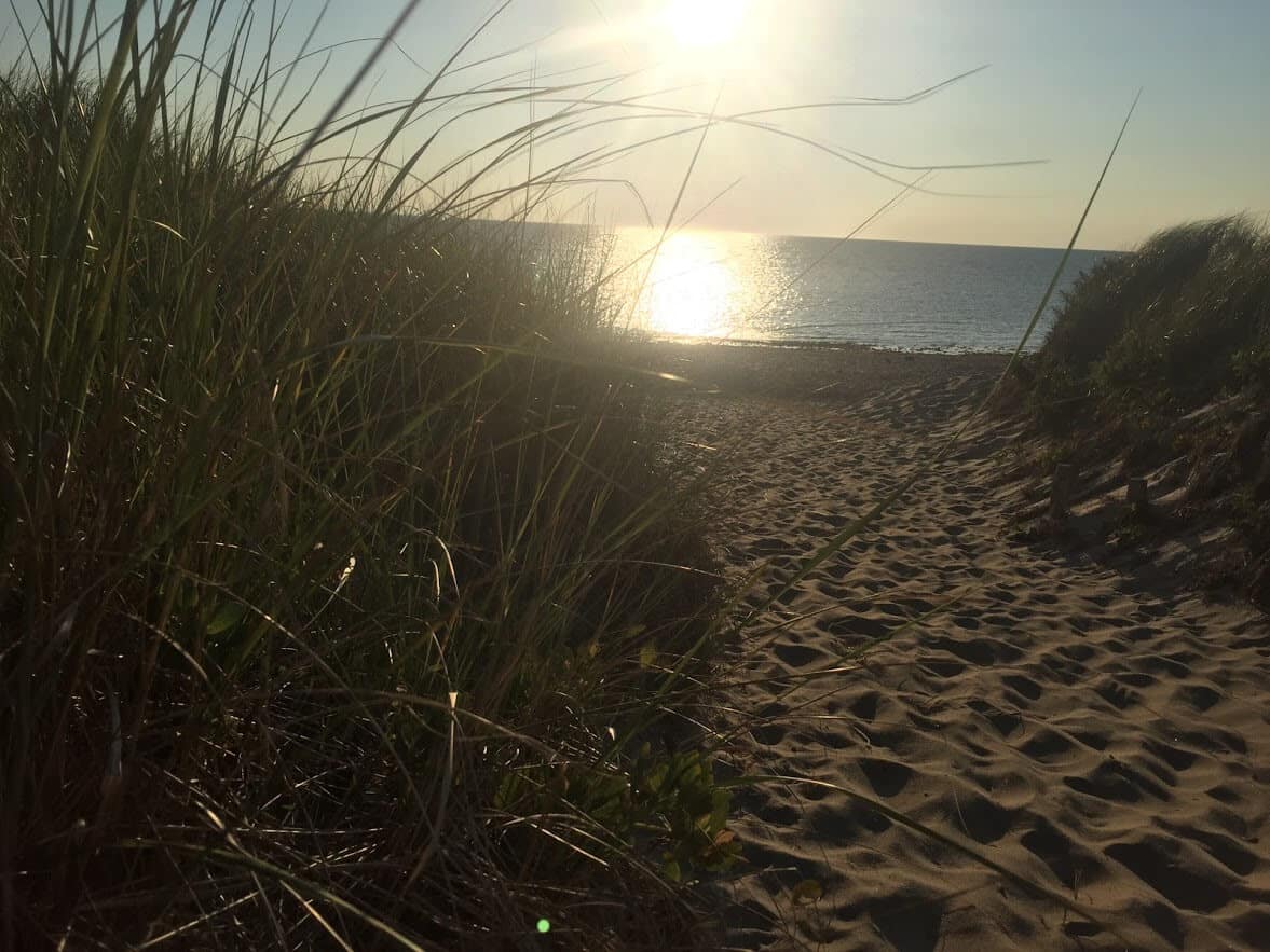 Wellfleet Beach