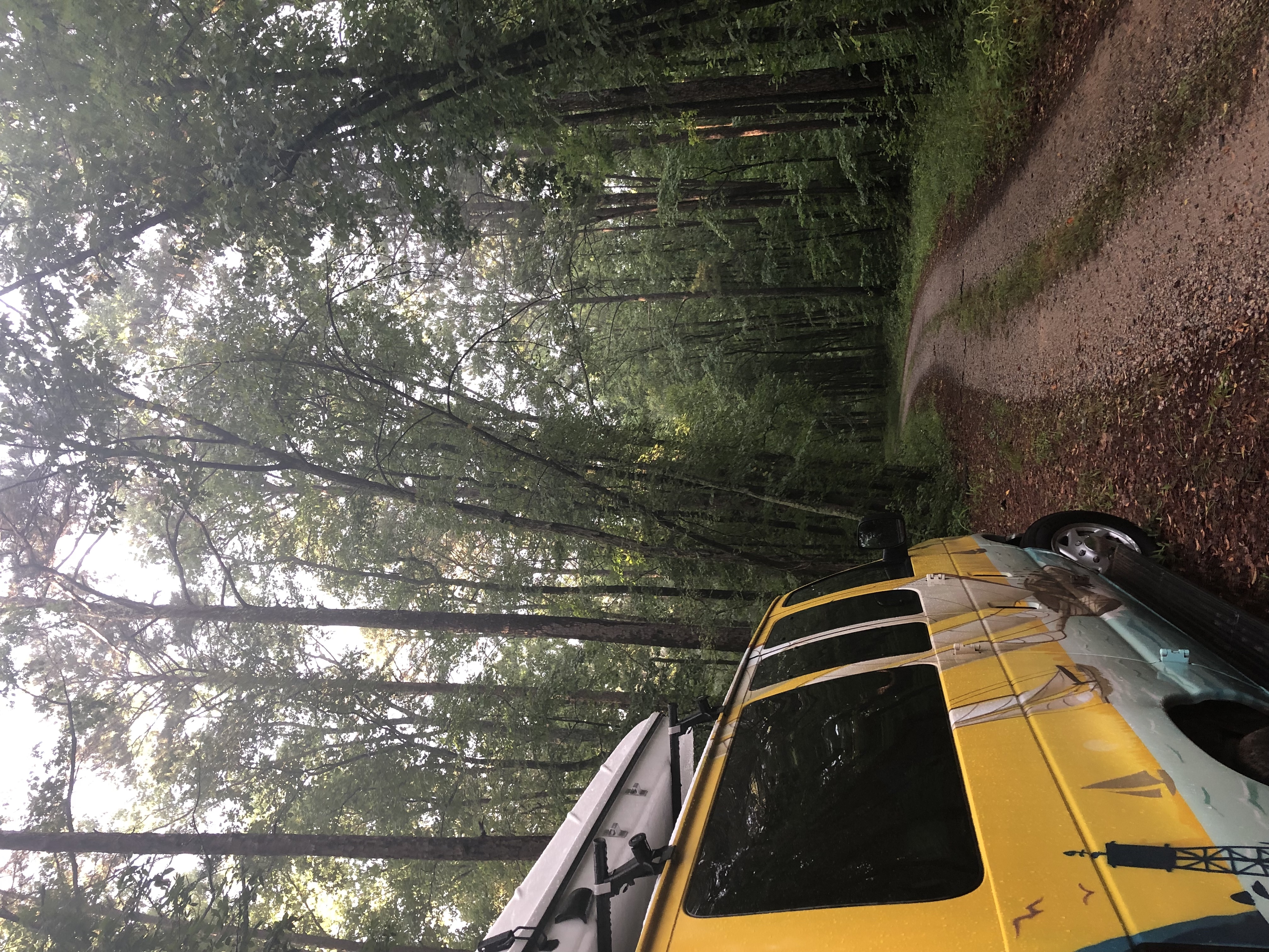 Campervan in a forest 