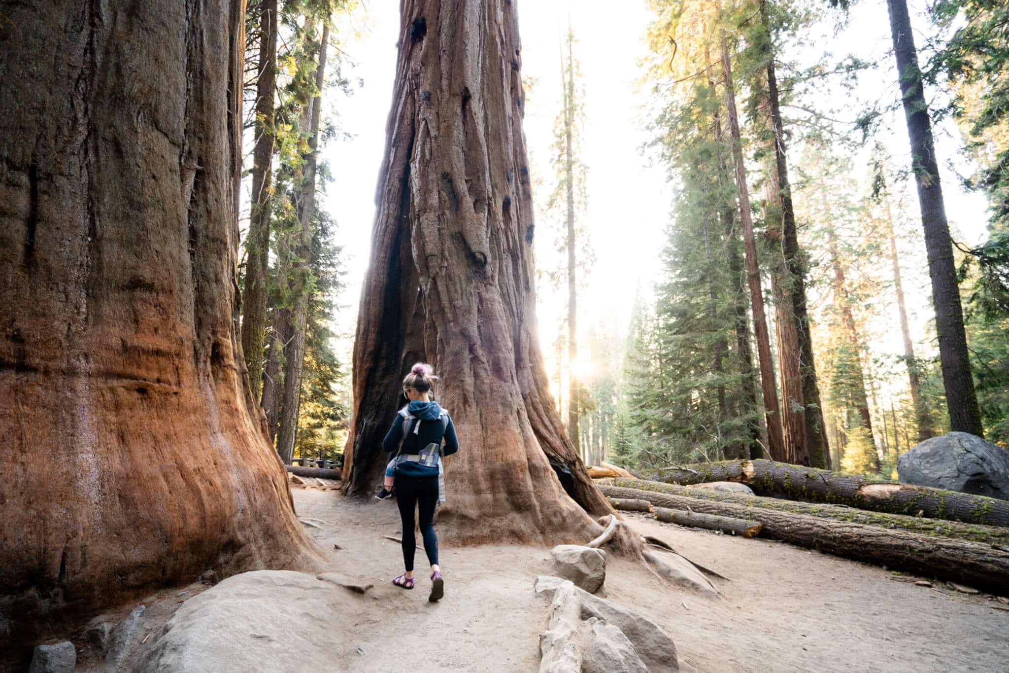 Hiking at Sequoia National Park