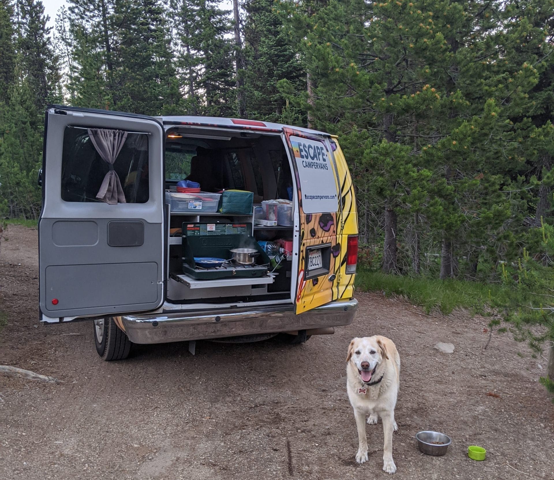 Campervan kitchen