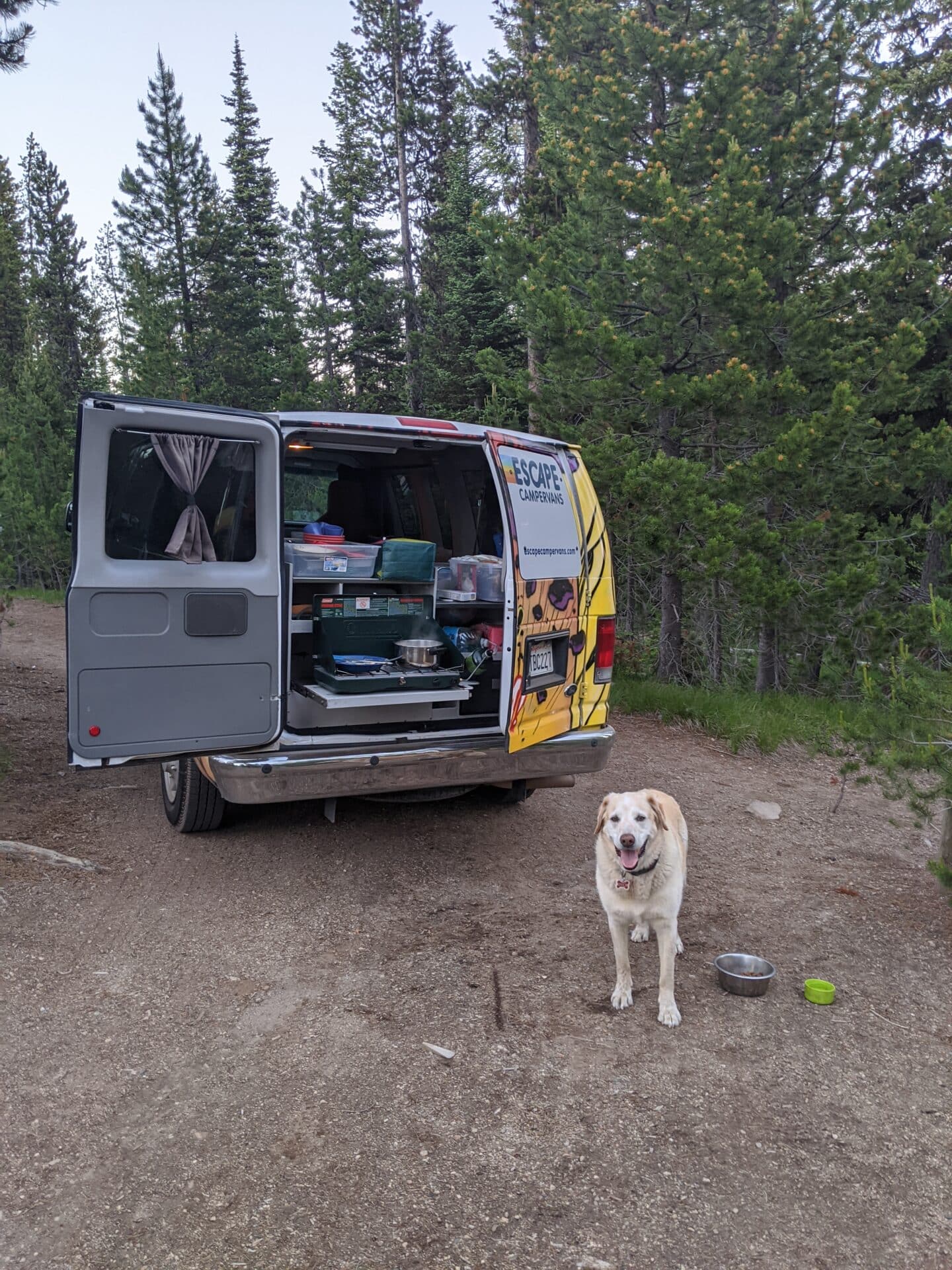 Campervan kitchen