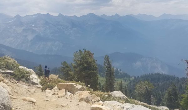 Hiking in Sequoia