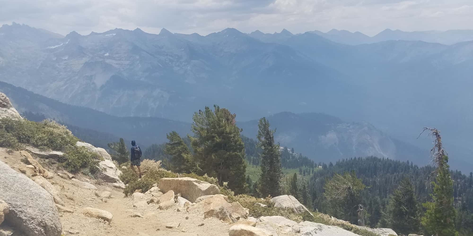 Hiking in Sequoia
