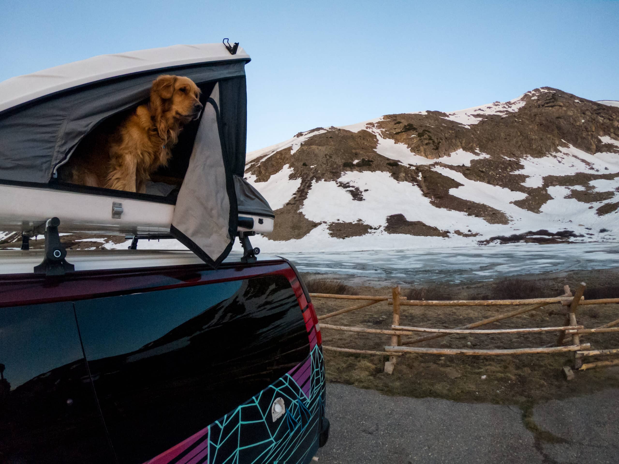 Explore the National Parks in Colorado with you furry friends in an Escape camper van.