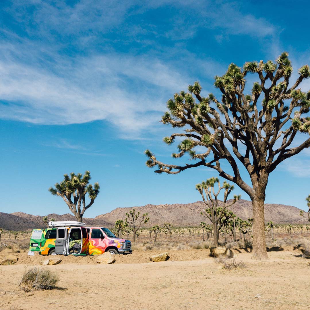 Don't waste any time on your California desert road trip setting up tents. Travel in a camper van for the smoothest road trip experience.