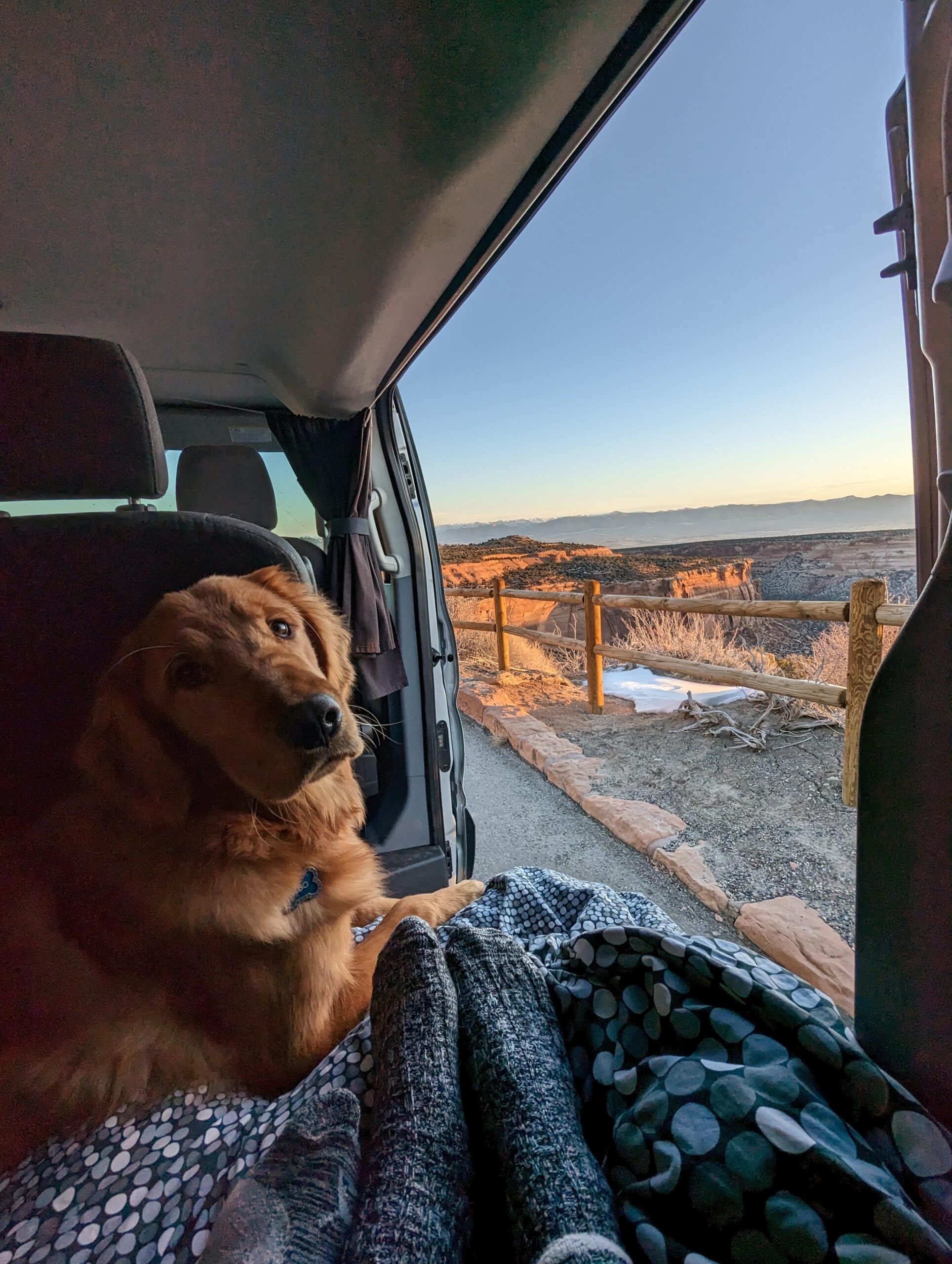 Person on a road trip with a dog