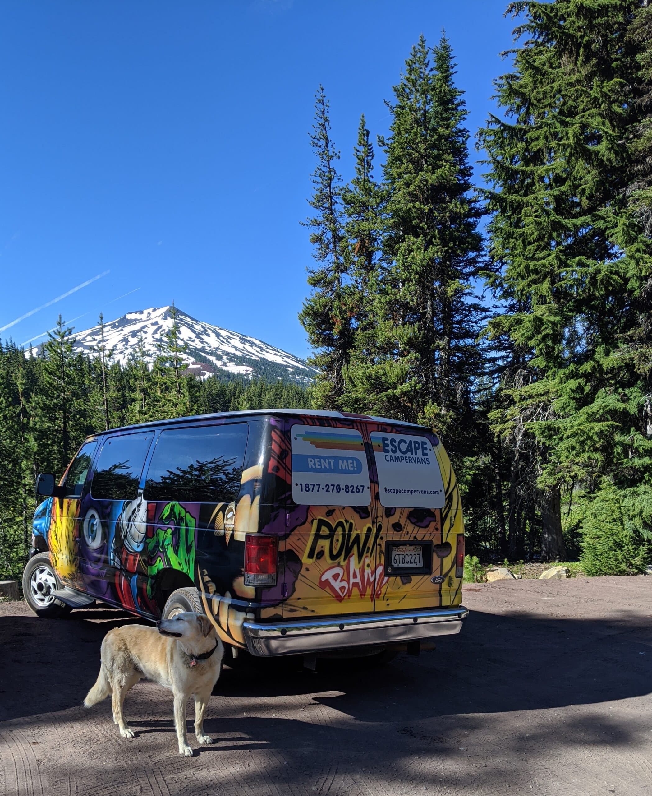 Escape Camper Van and dog at Mount Bachelor in Bend, Oregon.