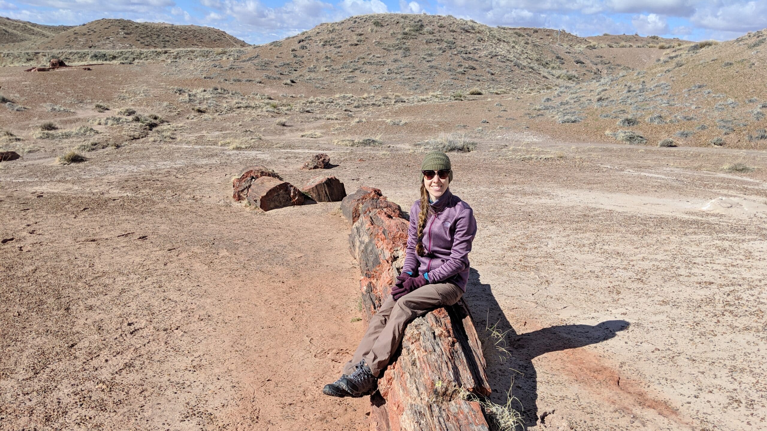 Woman sitting on a petrified tree in the Petrified Forest National Park.