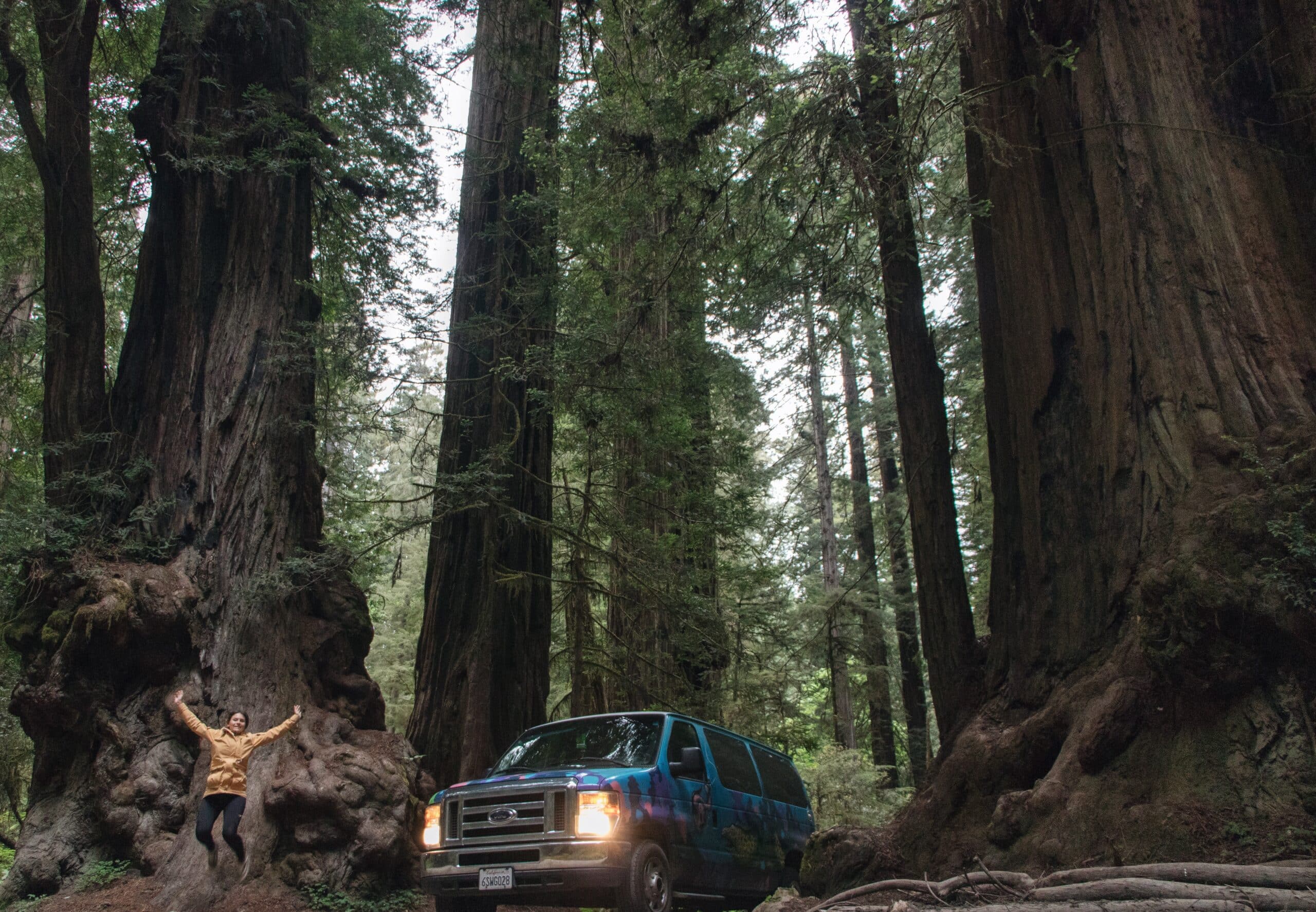 Escape Camper Van in Redwood National Park in California.