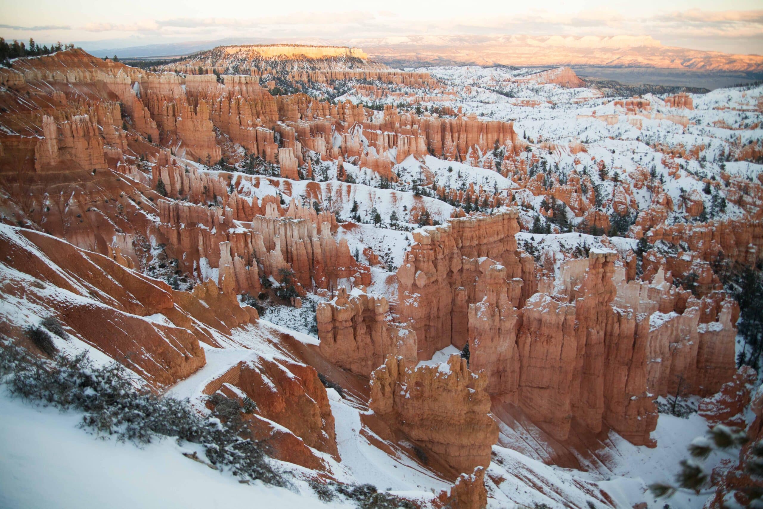 Bryce canyon national parked covered in snow in the winter.