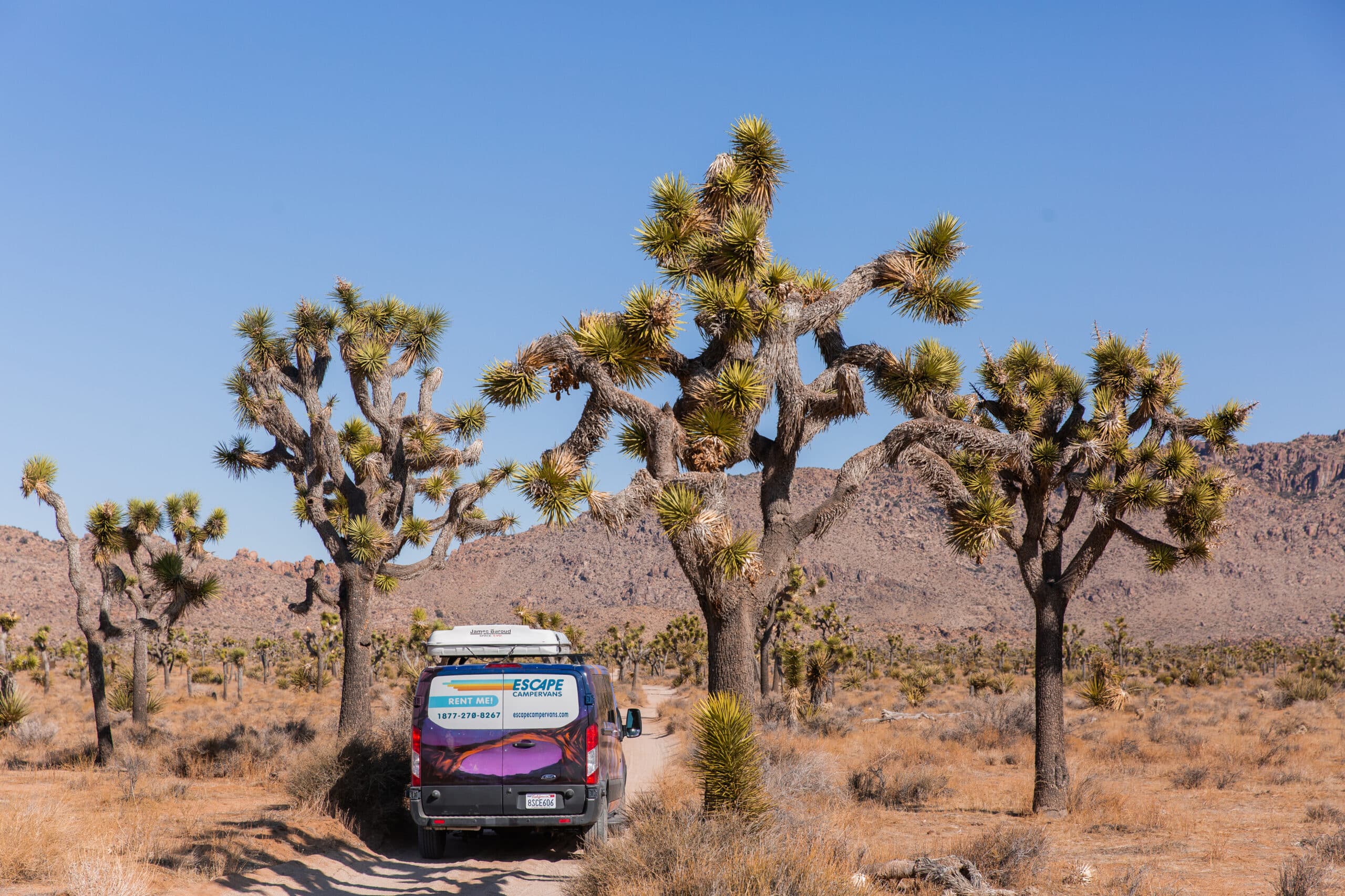 An Escape Camper Van driving through Joshua Tree National Park on a California road trip.