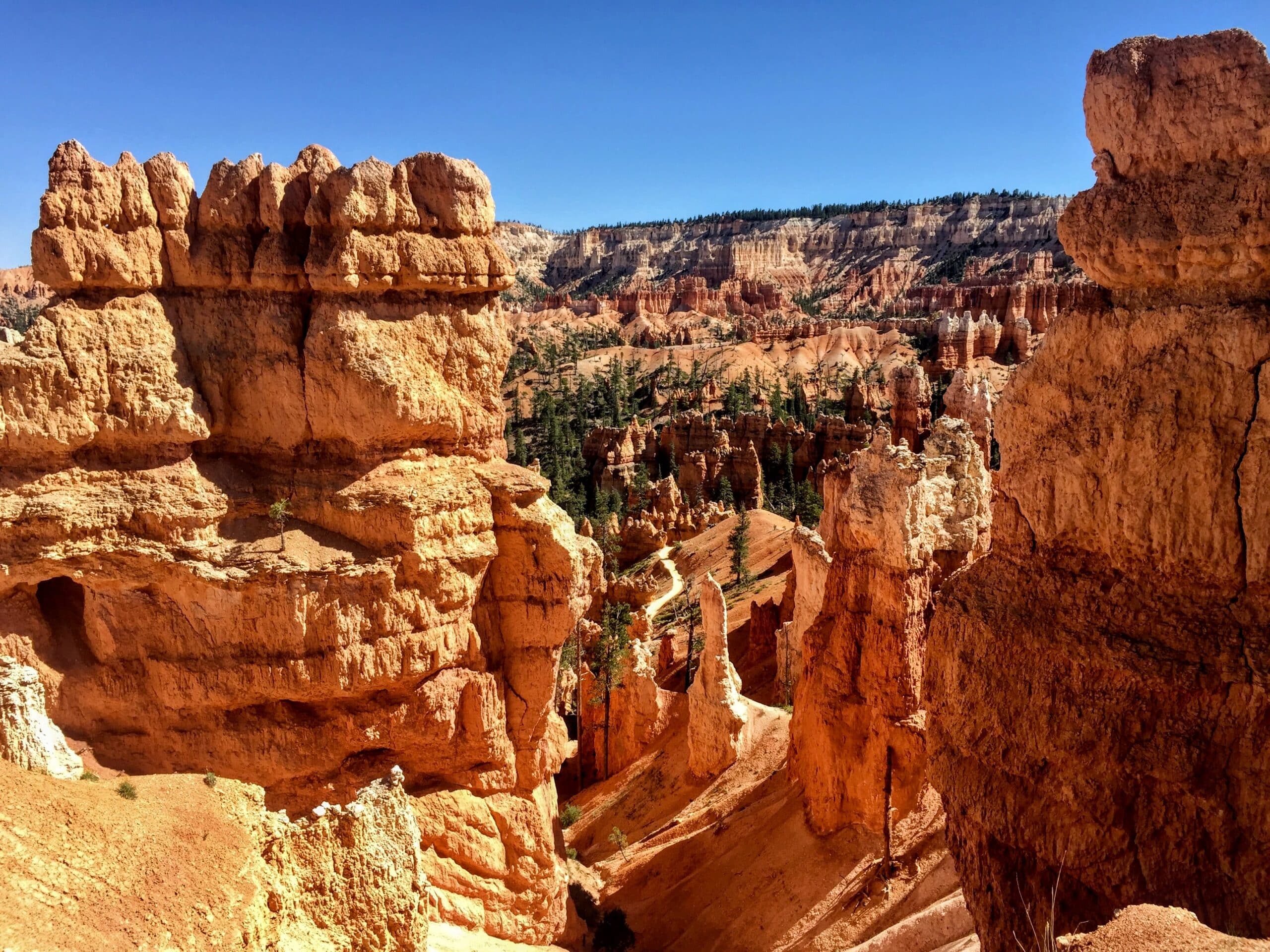 Overlooking Bryce canyon national park, one of Utah's Might Five.